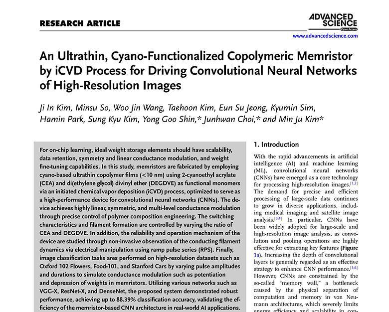 논문 관련 내용