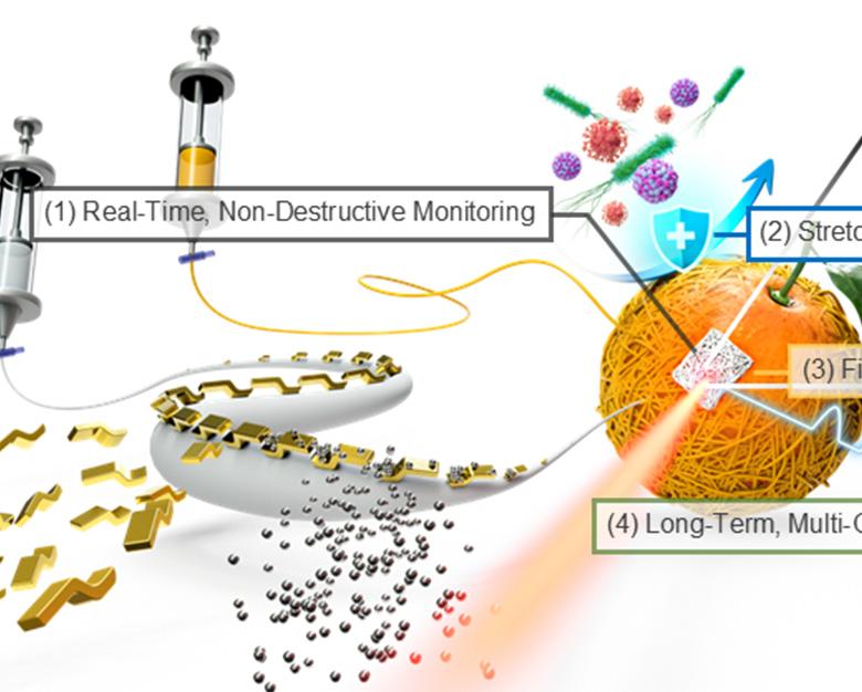 연구 논문 관련 사진